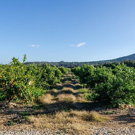 El Limonar De Mallorca - Agroturismo Ballerics Экстерьер фото